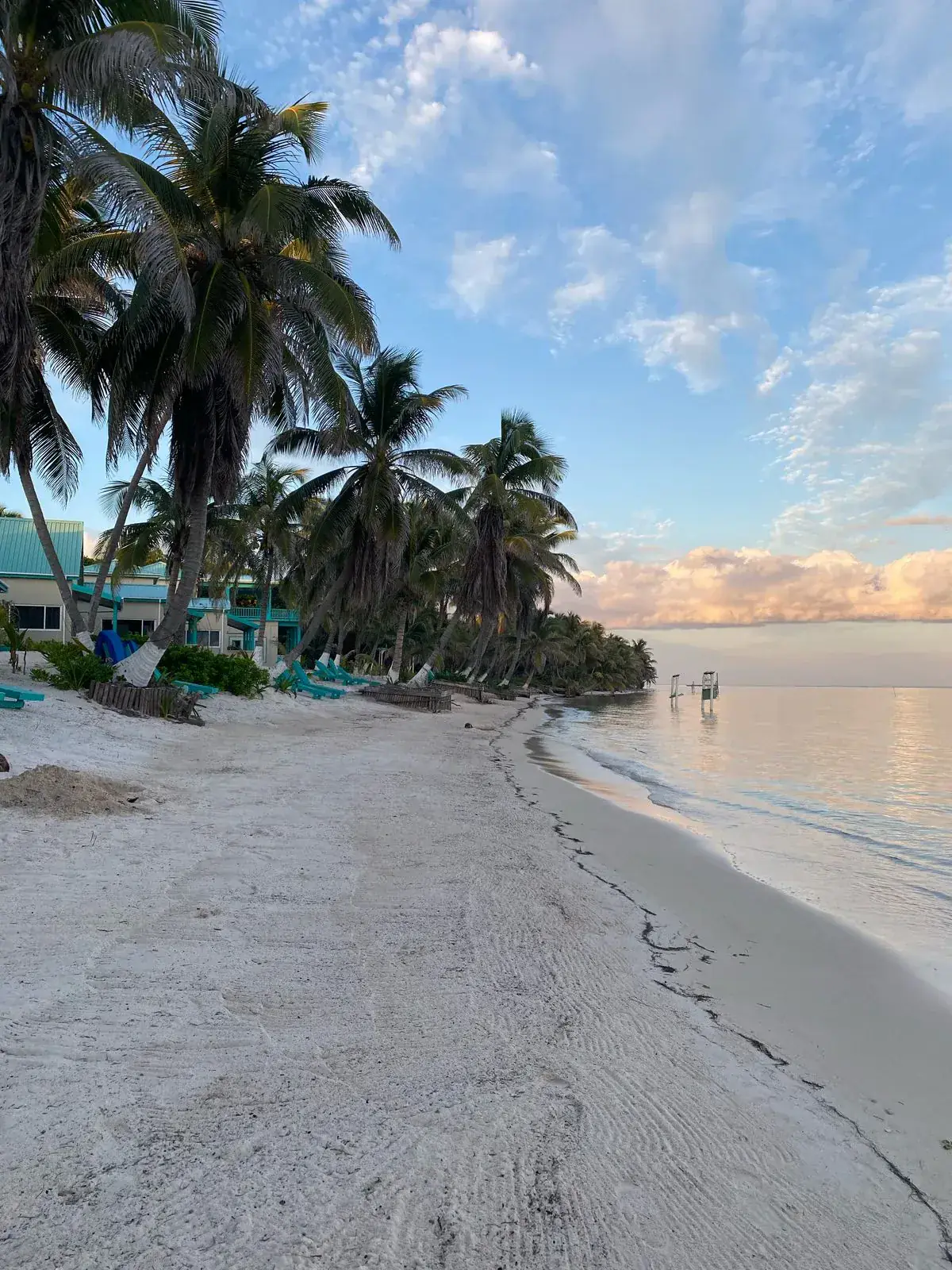 Cacao Farm Experience