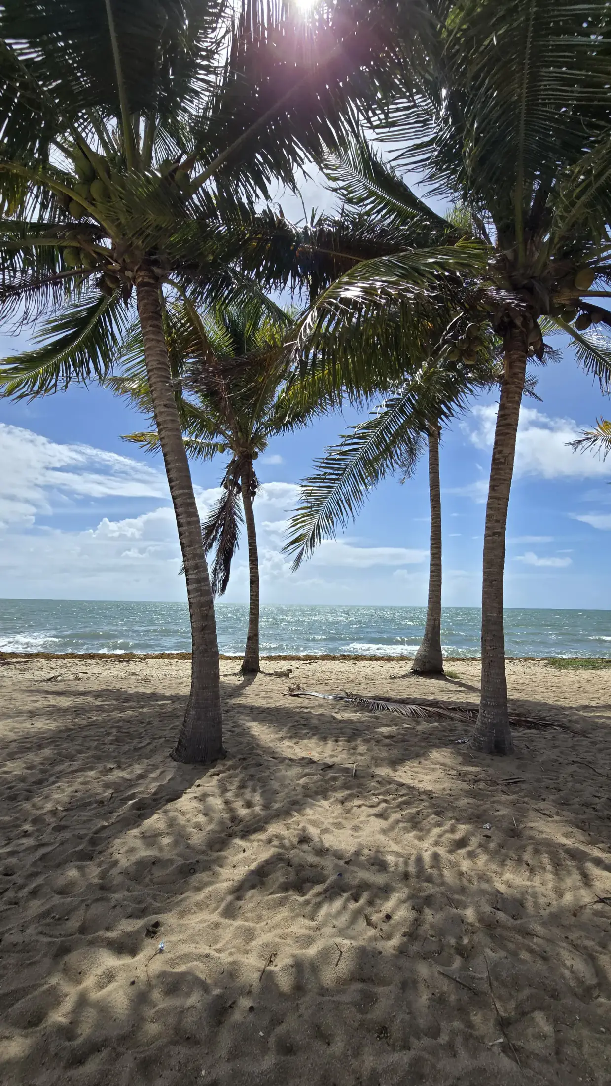 Mennonite Community Visit