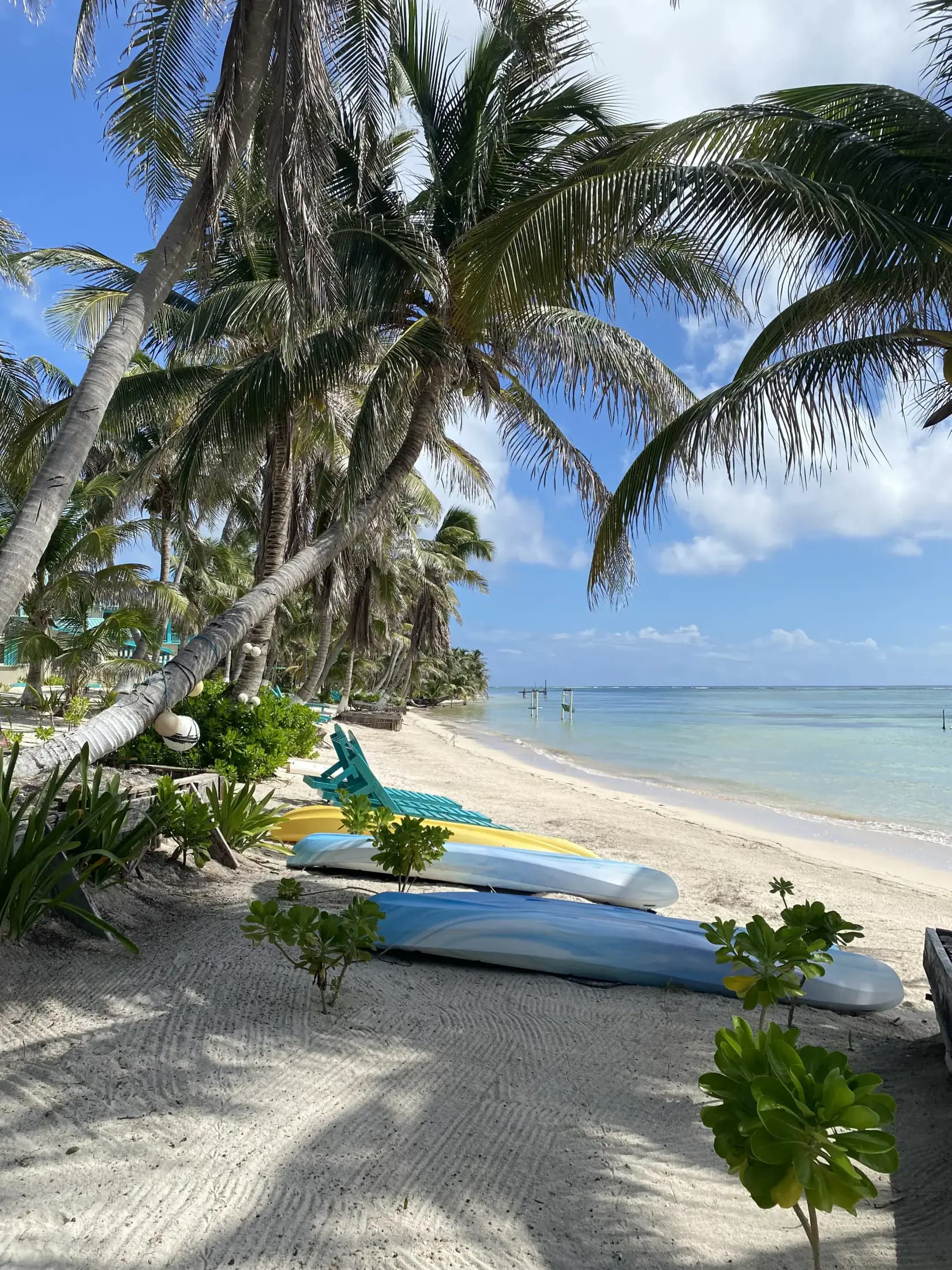 Sustainable Travel in Belize